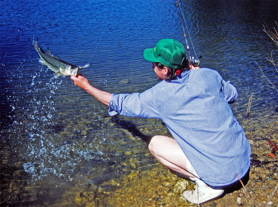  Bank Fishing for Big Bass