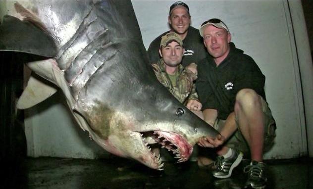 Shortfin weighing 1,323 pounds a potential IGFA all-tackle world record.