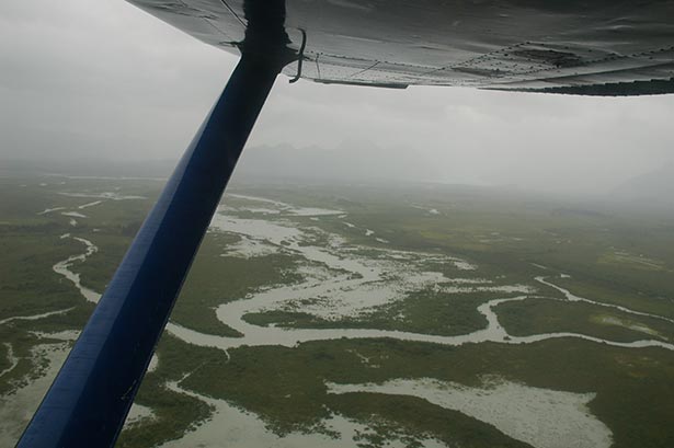 Alaska waterfowl paradise