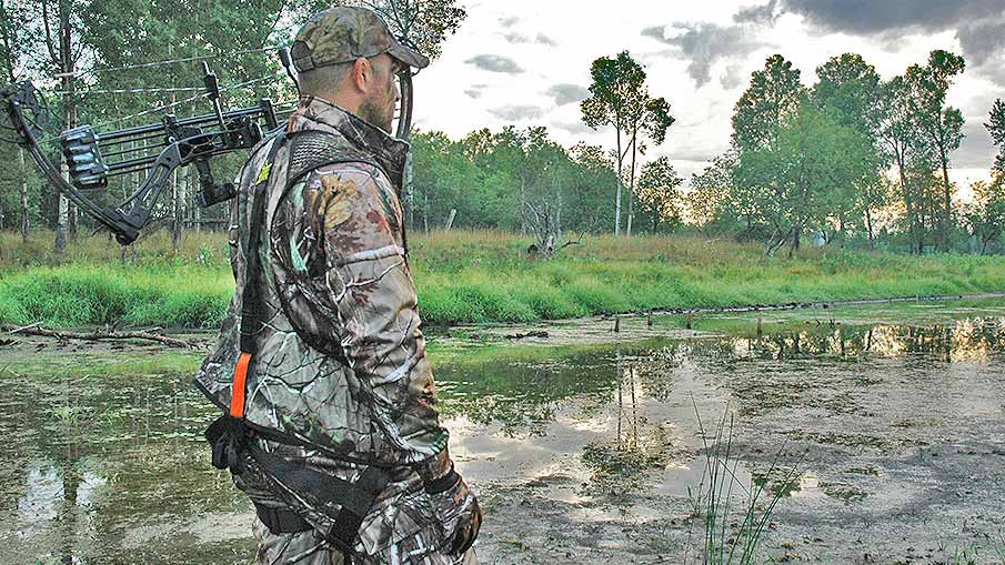 Whitetail Hunting Strategy: Waterholes Produce Big Bucks