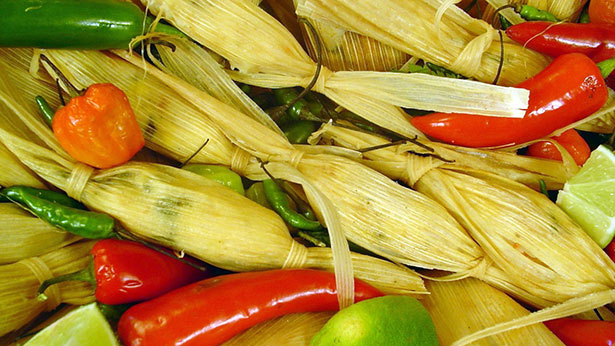 wild turkey tamales recipe