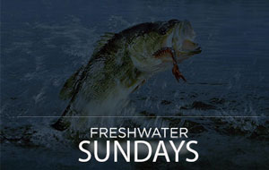 Freshwater Sundays