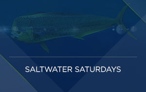 Saltwater Saturdays
