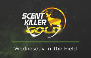 Wednesday in the Field