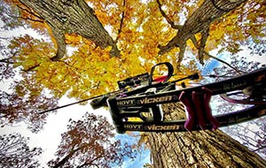 Archer's Choice with Ralph & Vicki