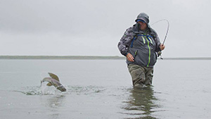 Facts of Fishing 