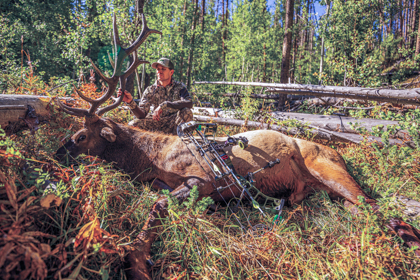 Bowhunting - Petersen's Hunting