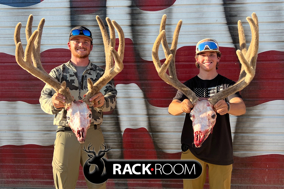 Rack Room: 400 inches of Mule Deer