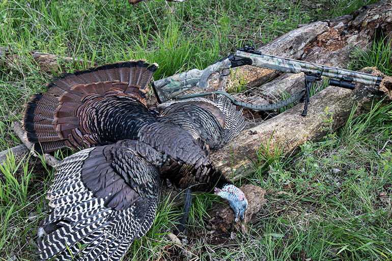 Why You Should Shoot an Over/Under Shotgun This Turkey Season