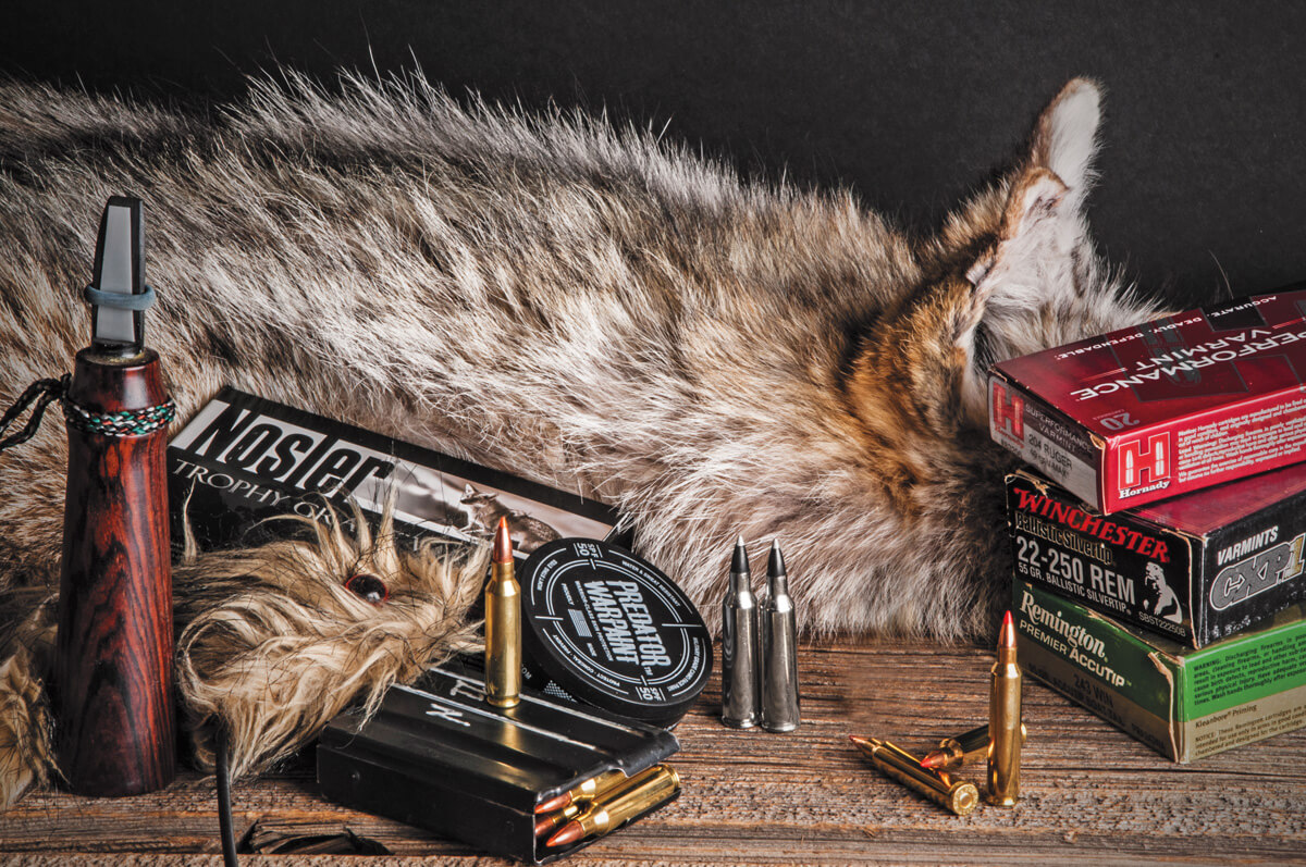 7 Cartridges for Killing Coyotes