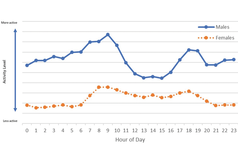 Daily-Deer-Activity-Level-Graph.jpg