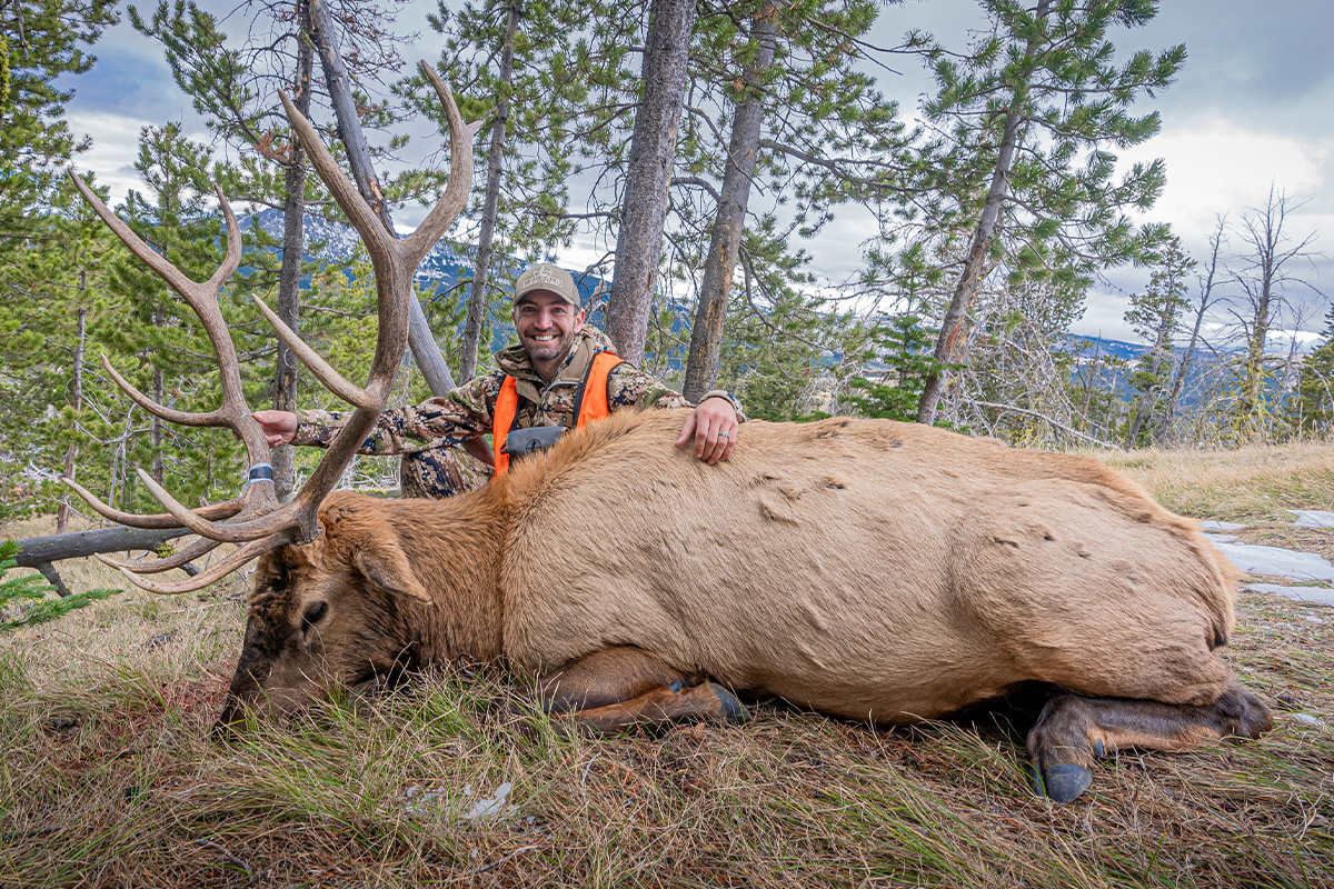 How To Hunt Elk This Year On A Budget