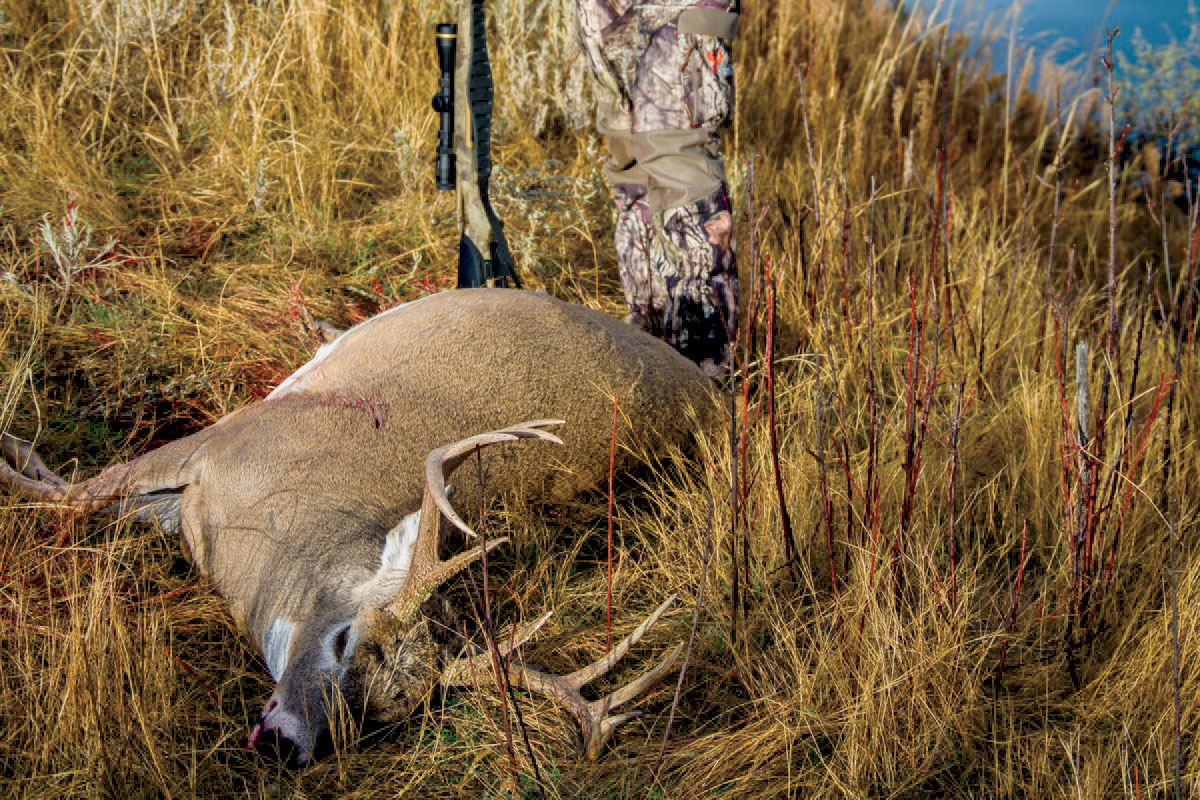 How to Properly Field Judge a Buck - Petersen's Bowhunting