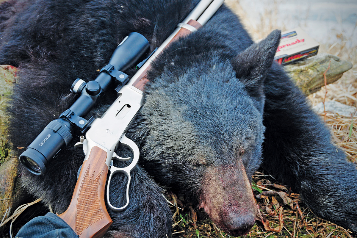 How To Plan And Execute Your First Bear Hunt - Petersen's Hunting