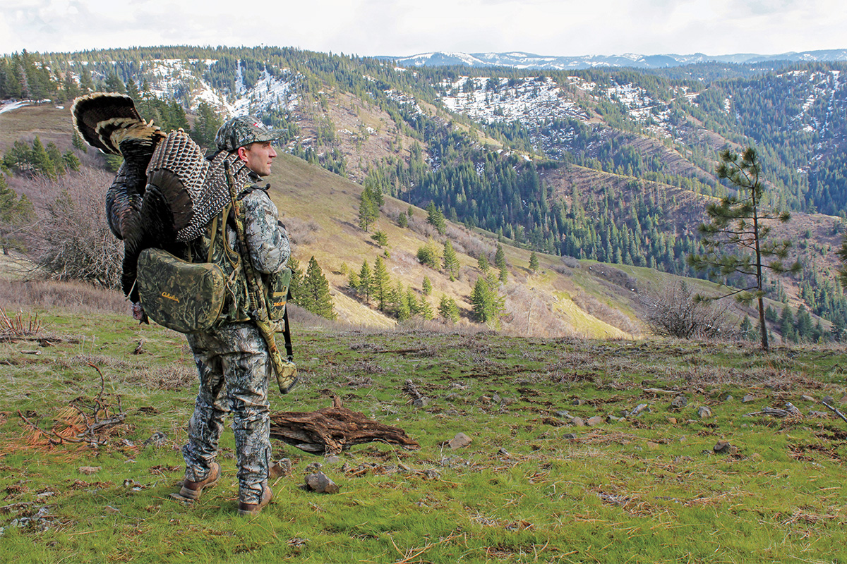 Reliable Tactics For Success On High Country Toms