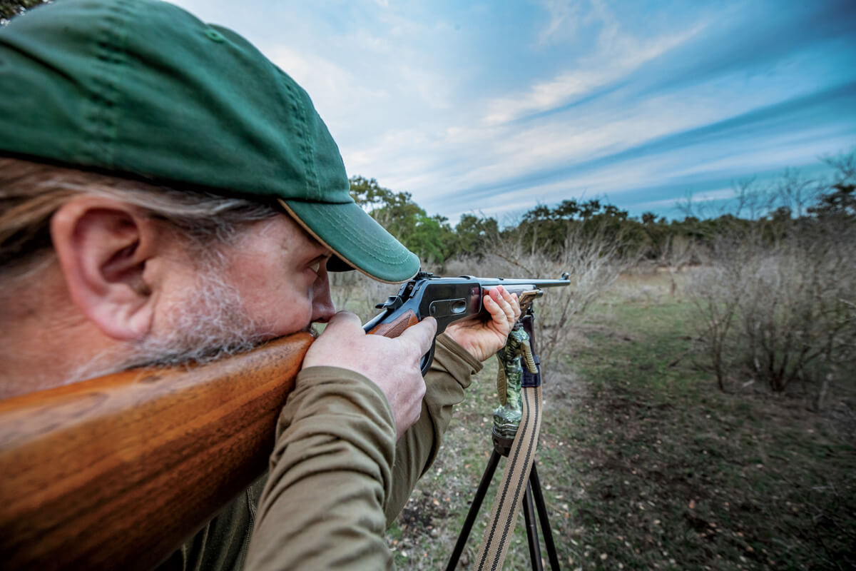 Picking the Right Ammo for Boar