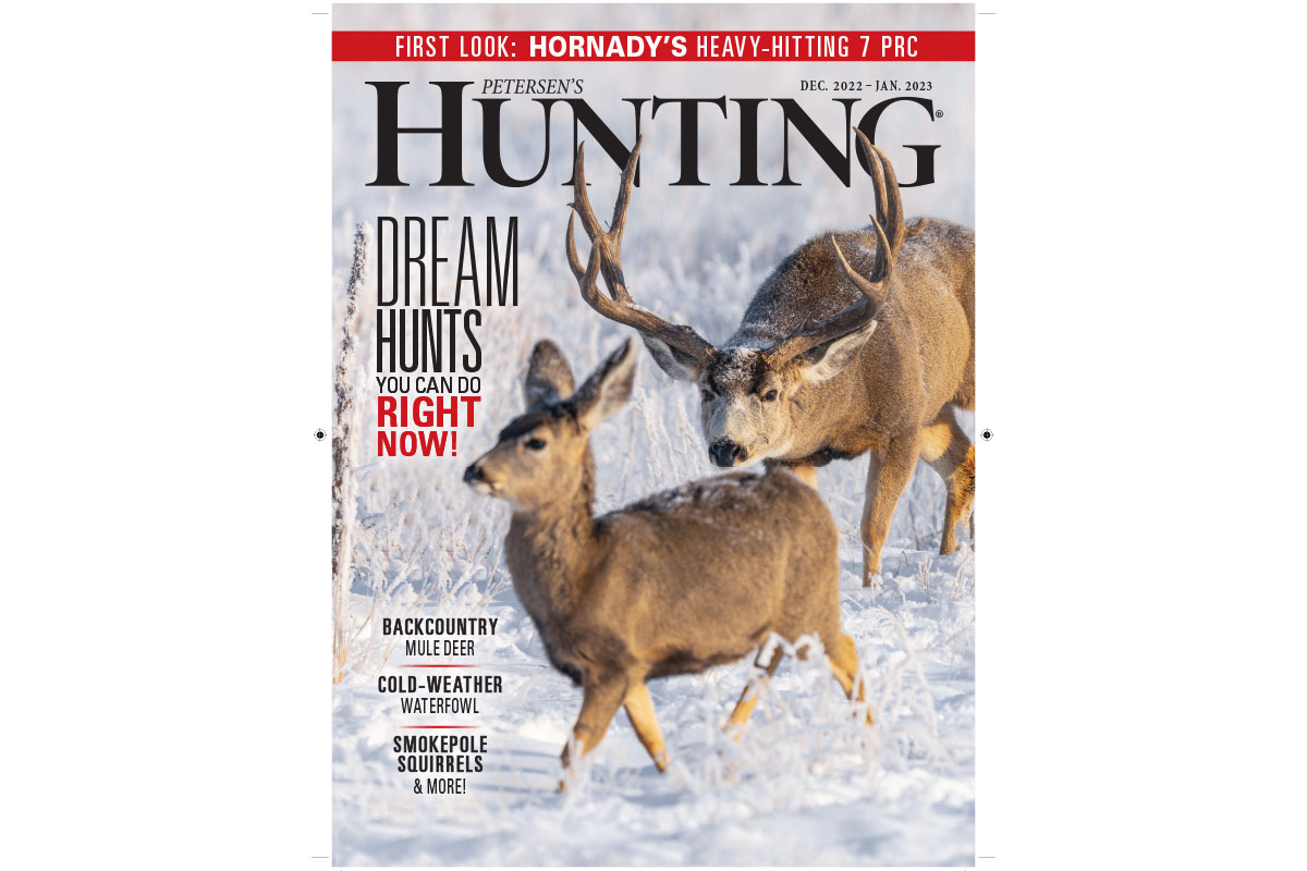 Petersen's Hunting November 2020 (Digital)