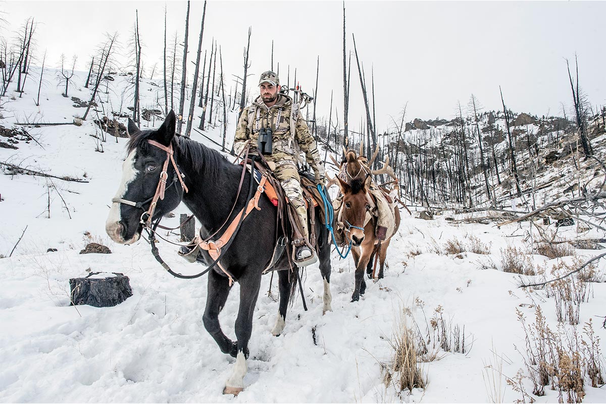 How To: Using Pack Animals for Hunting