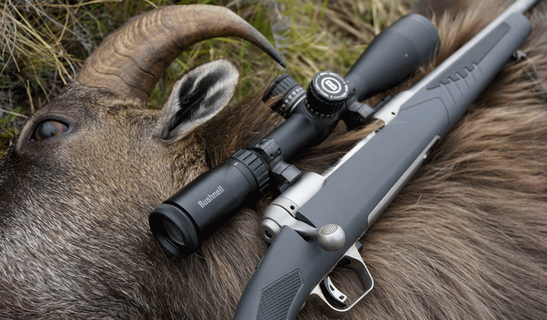 Reviewed and Tested: Savage 110 Storm AccuFit 