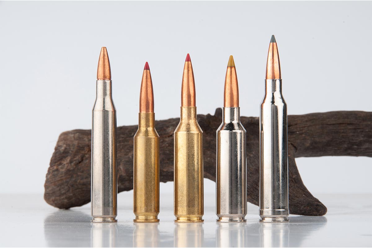 The Best Bullet for Big GameDeer, Elk, Pronghorn