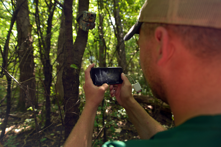 3 Ways You're Using Trail Cameras Wrong