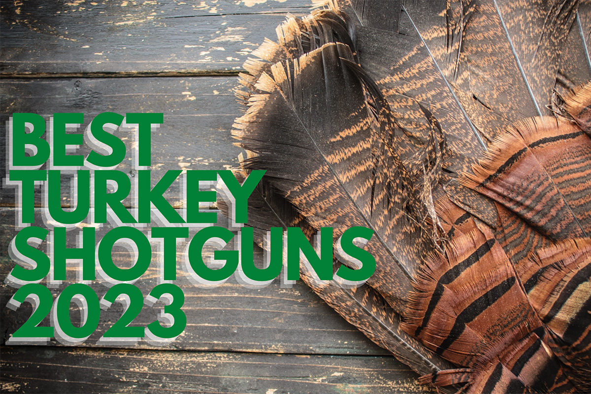 Best Turkey Shotguns On The Market For Spring 2023