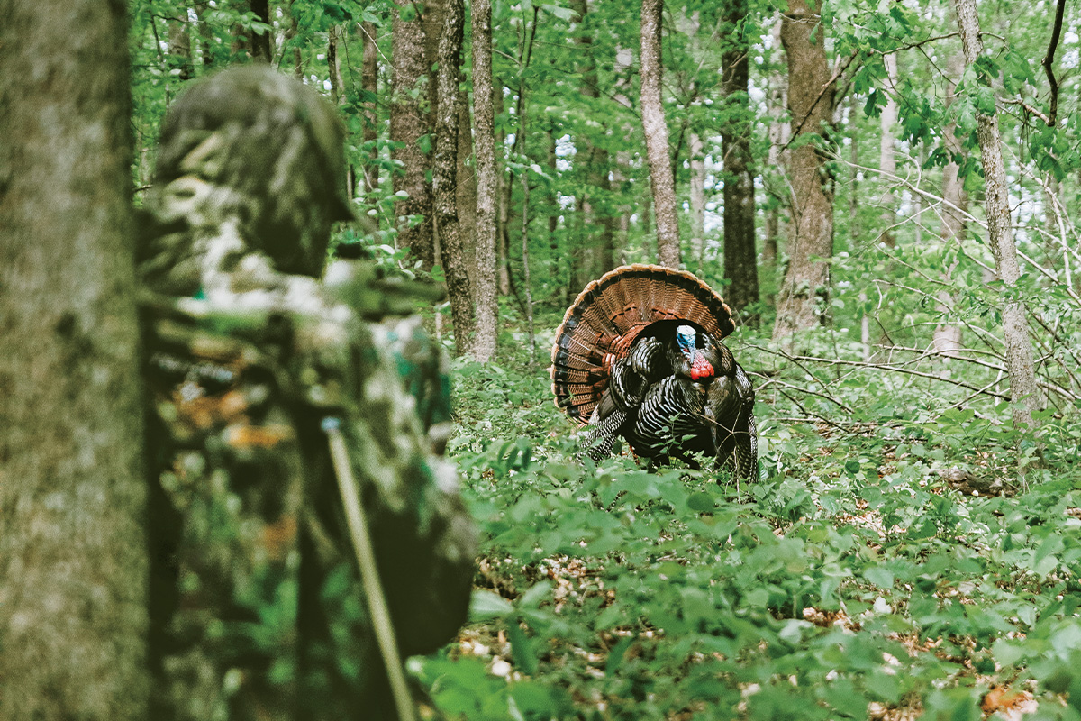 How To Hunt Turkeys One On One