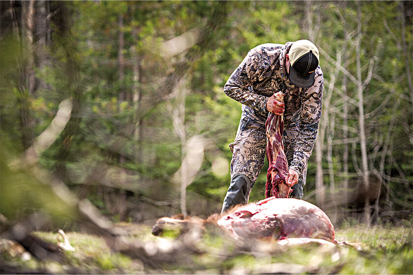 Beat the Heat When Field Dressing Game in the Backcountry