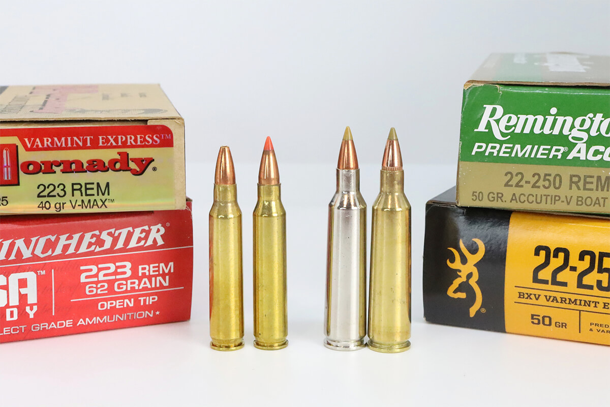 Best Coyote Cartridge 223 Vs 22 250 Petersen s Hunting