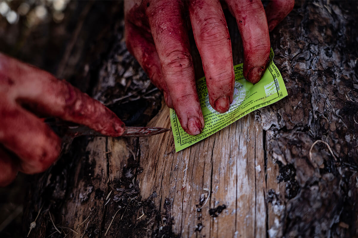 The Best Knife Sharpeners for Hunting