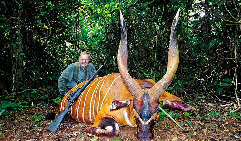 The Bongo of a Lifetime in the Congo - Petersen's Hunting