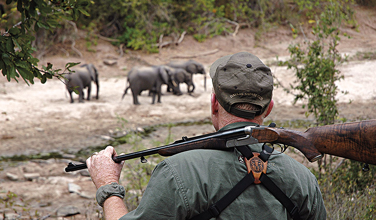Hunt the African Big 5