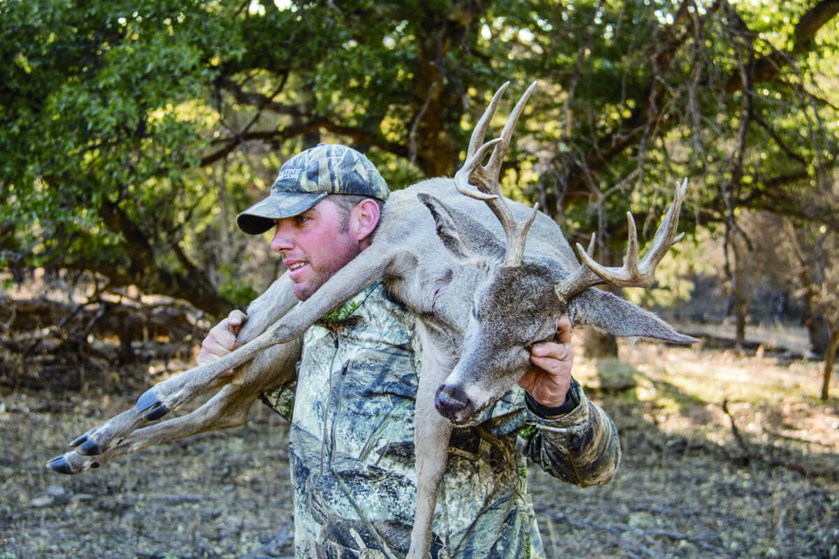 Couse deer hunting Mexico