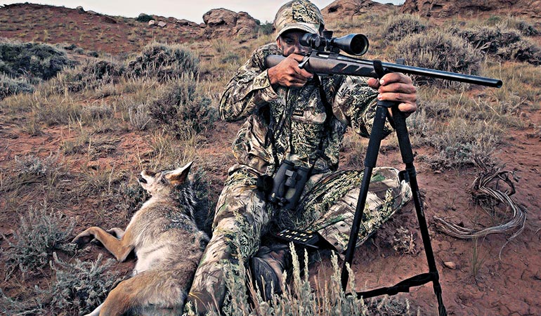 Anti Efforts to Ban Predator Hunting on the Rise