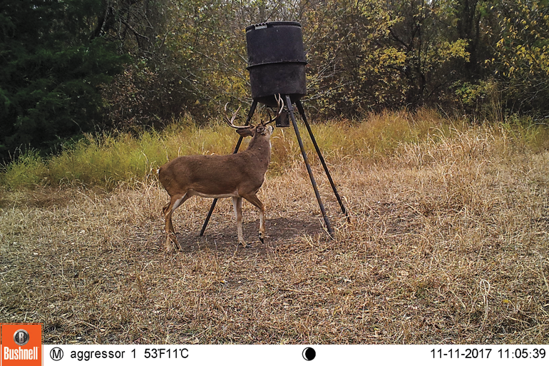 deer-feeder-scouting-cam.png