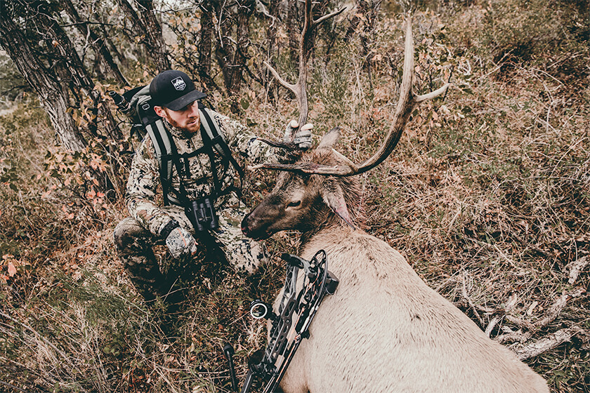 Elk Hunting Diy Or Fully Guided Petersen S