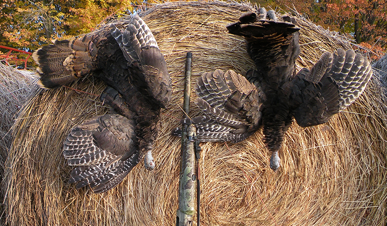 5 Tips to Kill a Fall Turkey