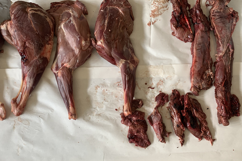 fresh-antelope-meat.jpg