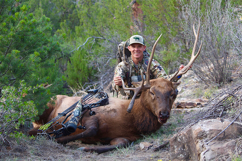 Go Close for Public Land Elk Hunting