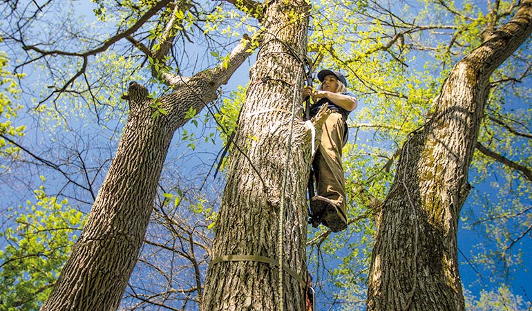 September Is Coming: Now Is the Time to Check Your Treestands
