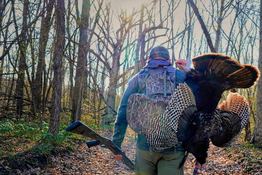 Illinois Turkey Hunting Success
