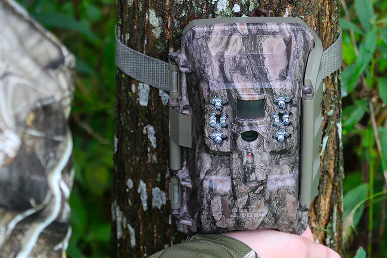 Is a Cellular Trail Camera Right for You?
