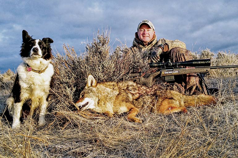 5 Advanced Tactics for Hunting Coyotes on Public Land - Petersen's Hunting