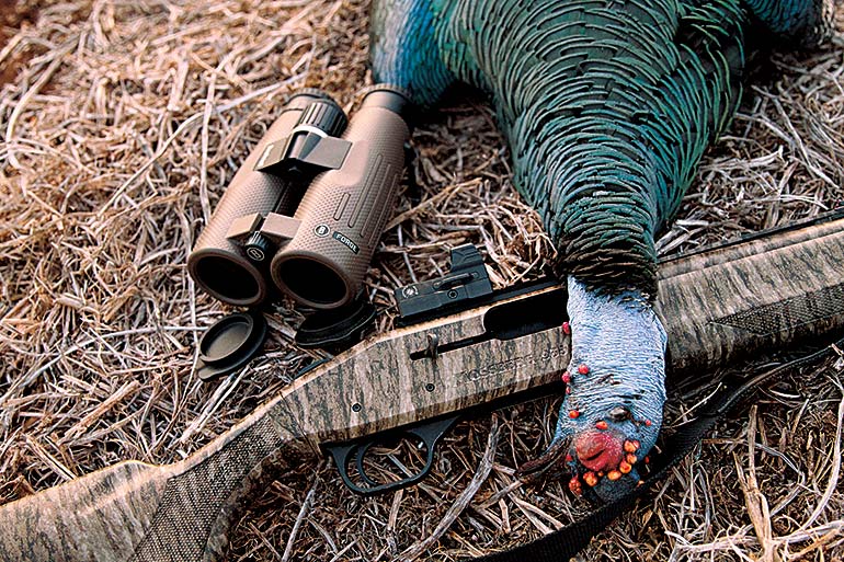 Ocellated Turkey Hunting Tactics that Work for Any Species