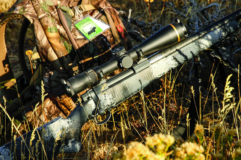 The Right Gun for the Job: Whitetail Deer Hunting