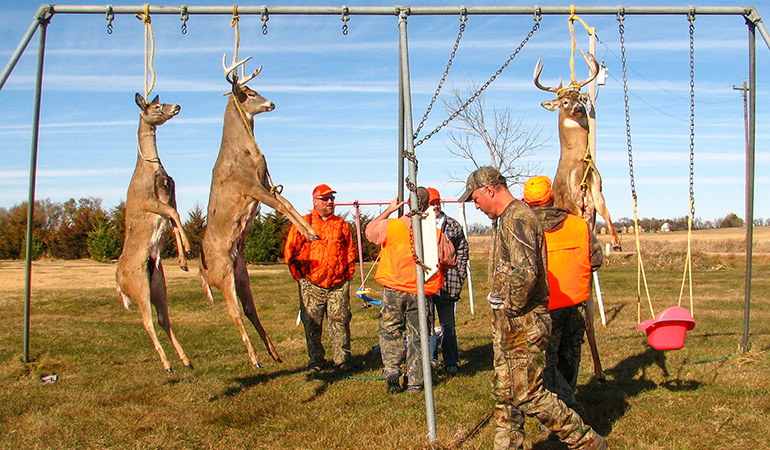 how to gut a deer hanging upside down