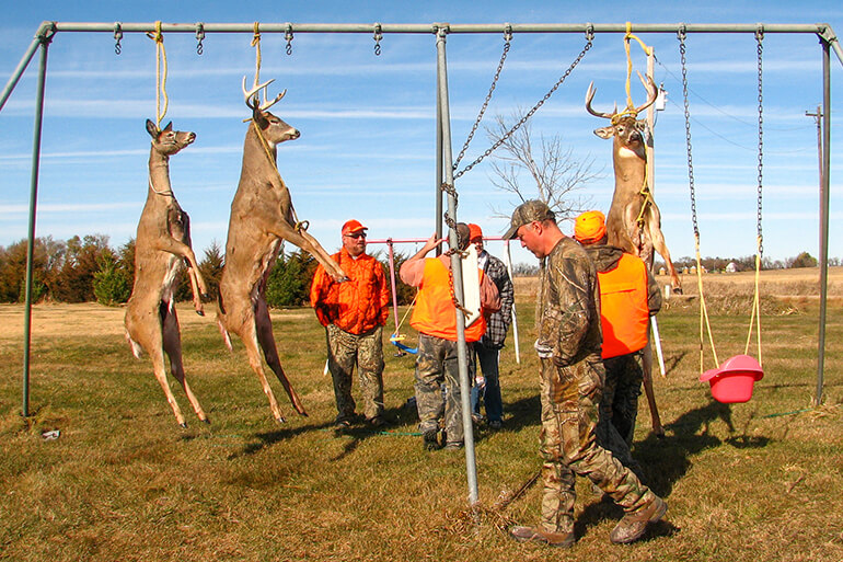 Rigor Mortis: The Importance of Hanging Deer