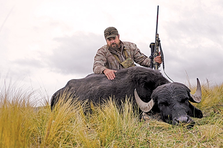 Bring Enough Gun: Stag Turned Water Buffalo Hunt