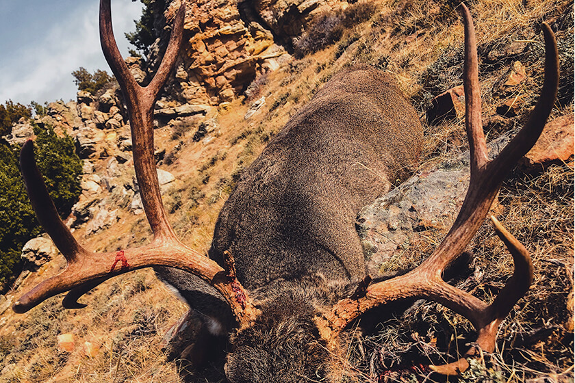 The Social Pressures of Hunting in a Modern World