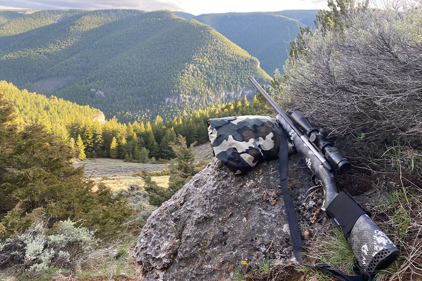 Mark V® Backcountry 2.0 - Weatherby, Inc.